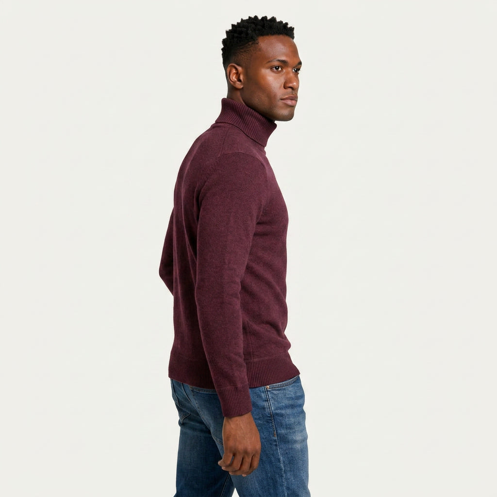 Pull Col Roulé Homme
