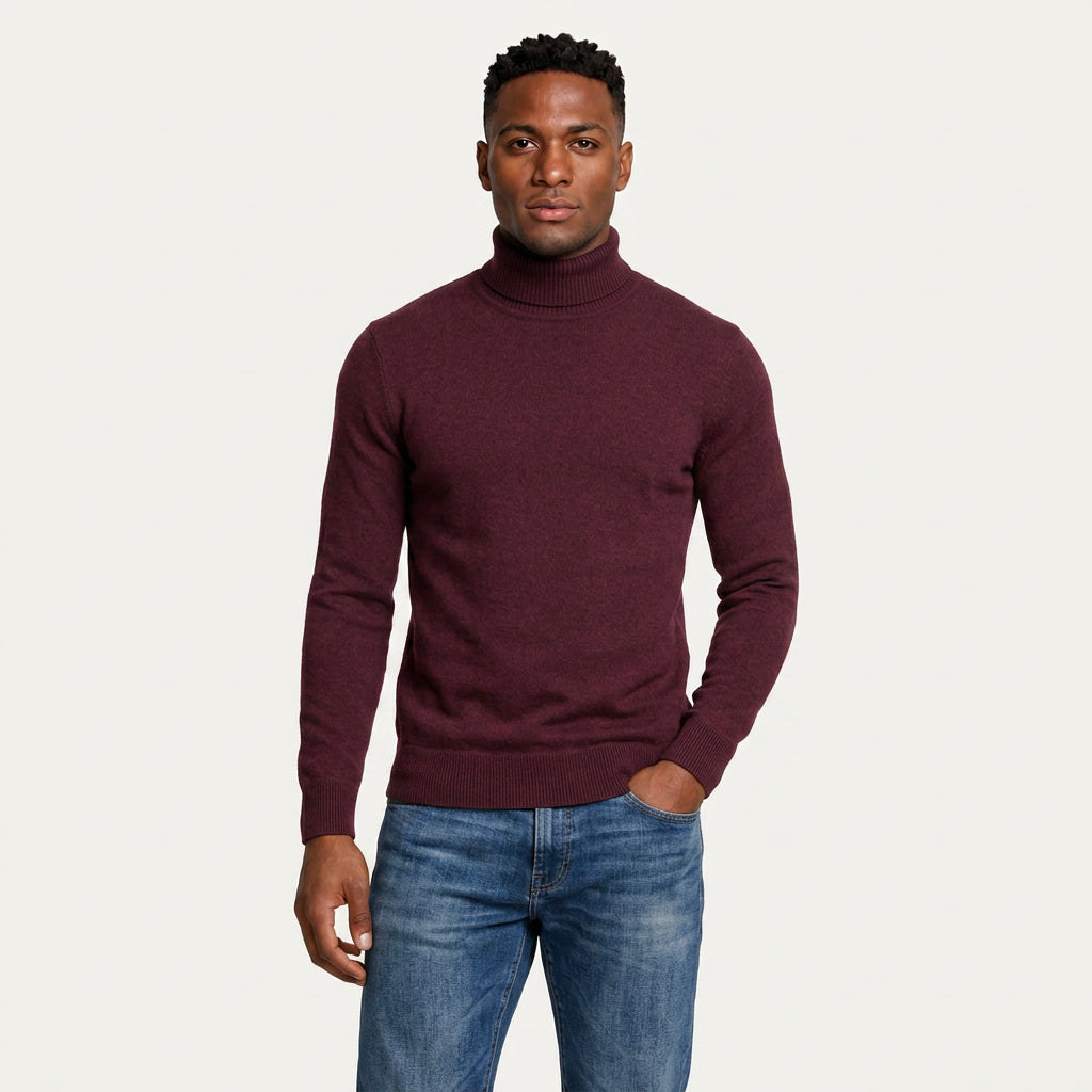 Pull Col Roulé Homme